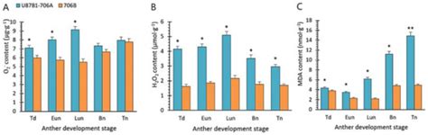 Tapetal-Delayed Programmed Cell Death (PCD) and Oxidative Stress ...