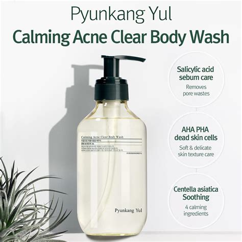 Buy PYUNKANG YUL Calming Acne Clear Body Wash with Salicylic Acid (BHA ...
