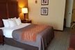 Best Western Chocolate Inn at the Park | Groupon