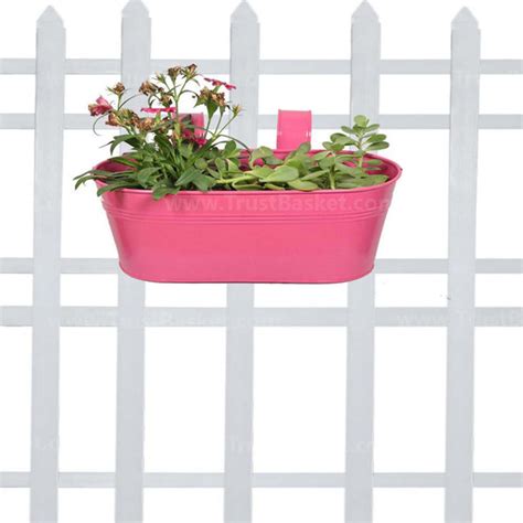 Buy Oval railing planter - Magenta Online in India-TrustBasket