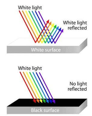 What is reflection? - Year 3 Science PDF Download