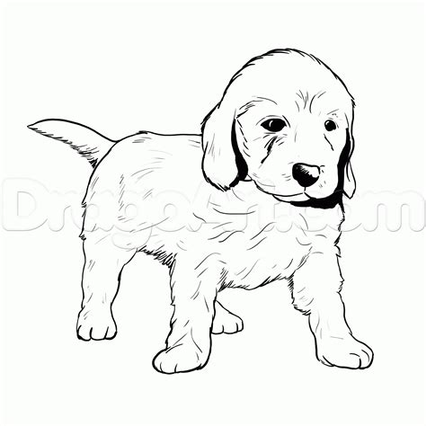 Golden Retriever Printable Coloring Pages - Printable Word Searches