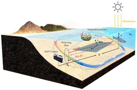 A Dual-Branch Autoencoder Network for Underwater Low-Light Polarized ...