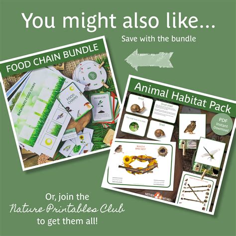 Image result for Create a Food Web