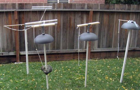 2007 Squirrel Obstacle Course