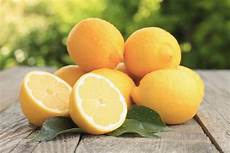 coltivare limoni in vaso come coltivare i limoni in vaso non sprecare coltivare limoni in vaso come coltivare i limoni in vaso non sprecare