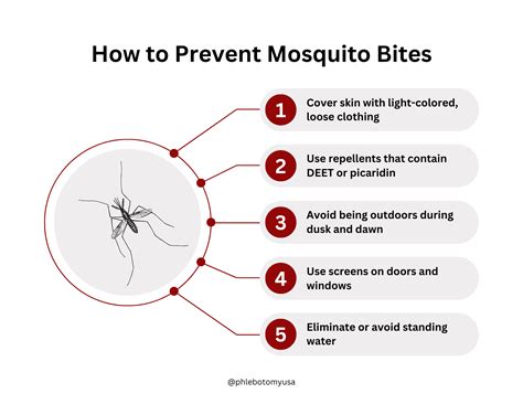 What Are Mosquito Bites Made Of at Ben Birtwistle blog