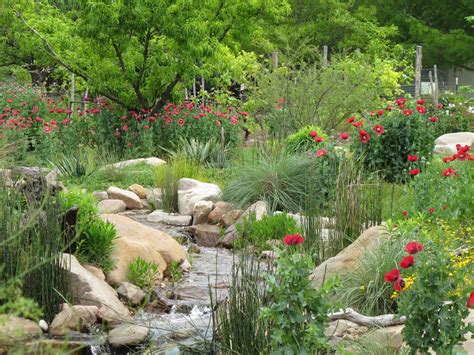 The Natural Gardener Austin ~ Wallpaper Francisca Macdonald