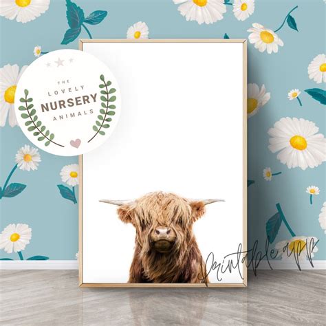 Buy BABY HIGHLAND COW Print, Cow Nursery Wall Art, Highland Cow ...