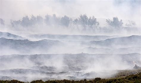 Image result for Spring Smoke