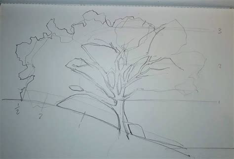 Sketching Tree Limbs 的图像结果