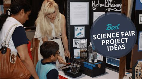 Image result for Example of Science Fair Project