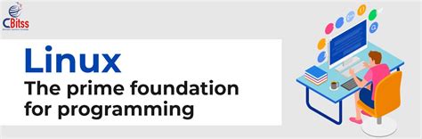 Programm Linux 的图像结果