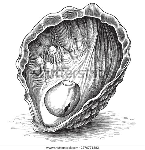 Draw Pearl Shell 的图像结果