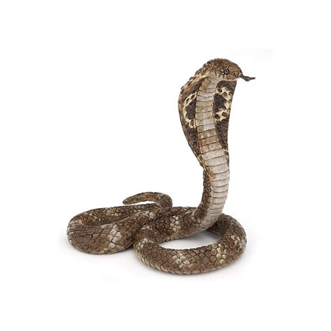 Buy Papo Figure "King Cobra" Toy Figure Online at Low Prices in India ...