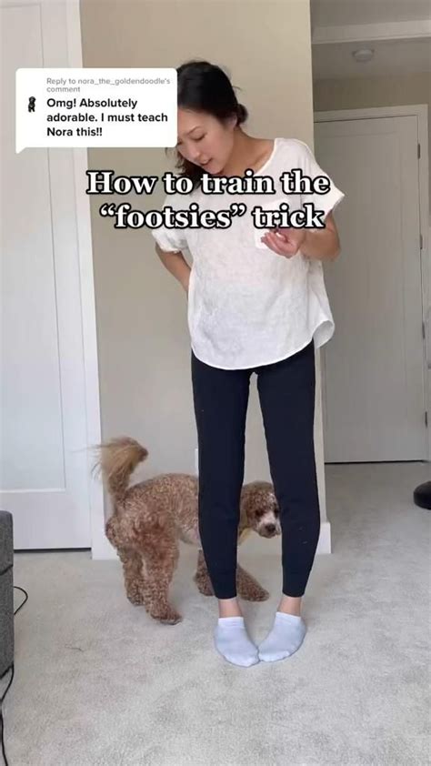 Mini Aussie Growth Chart 的图像结果