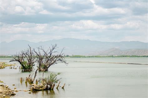 How do we measure greenhouse gases? | World Economic Forum