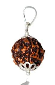 Stone HUB Gallery 4 Mukhi Rudraksha Real Beads Nepali Wood Natural Four ...