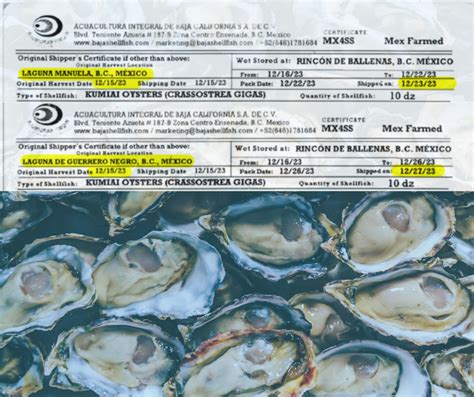 More with Norovirus in San Diego linked to Mexican Oysters | Food ...