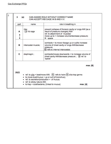 Image result for Free Science Lessons Gas Exchange