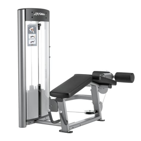 Leg Curl Machine Exercise 的图像结果