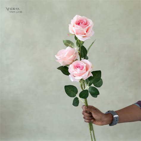 Realistic Roses Set Of 3 – Madras Prop Store