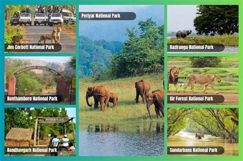 Ultimate Travel Guide to India’s Top National Parks