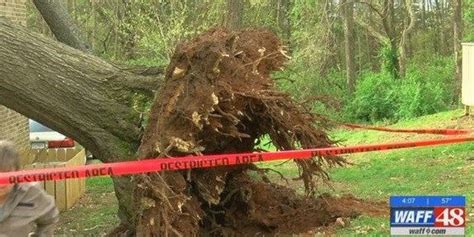 Storm preparations underway in Decatur