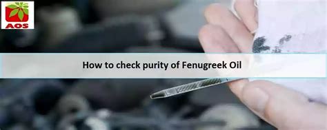 Fenugreek Oil - Know Uses and Check Purity | AOS Blog