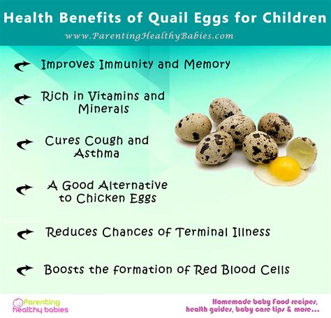 Quail Eggs Nutritional Benefits | Besto Blog