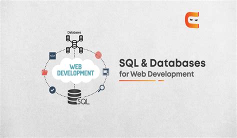 Image result for Web-Based SQL Database
