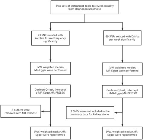 Image result for Introduction to Mendelian Randomization