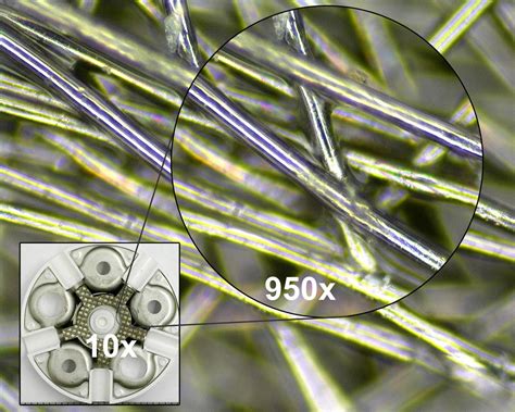 Image result for Magnification Examples