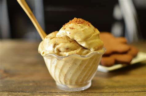 Ice Cream Recipe Ginger at Seth Darcy-irvine blog