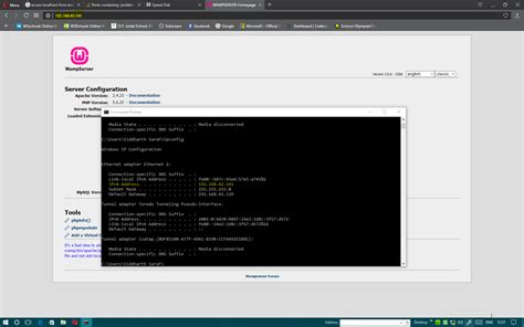 Wamp Localhost 的图像结果