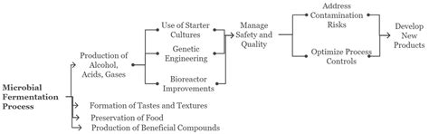 Microbial Fermentation in Food and Beverage Industries: Innovations ...