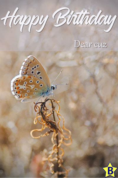 Happy Birthday Cuz Images and Wishes