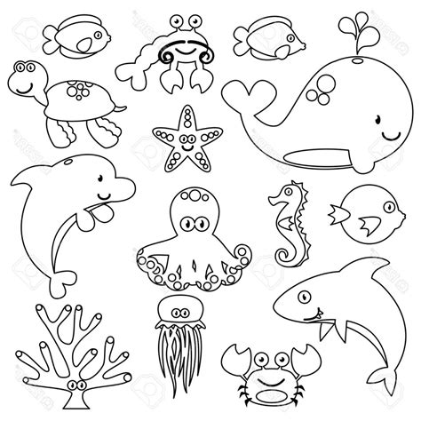 Marine Animals Drawing at GetDrawings | Free download
