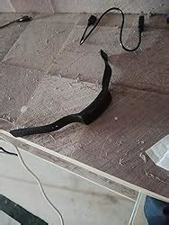 SELLORIA Digital Unisex-Child Watch (Black Dial) (Pack of 2) : Amazon ...