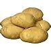 Fresh Potato, 1kg : Amazon.in: Grocery & Gourmet Foods