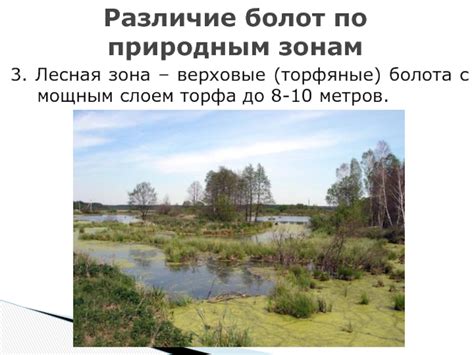 Презентация для урока географии в 8 классе "Болото" презентация, доклад