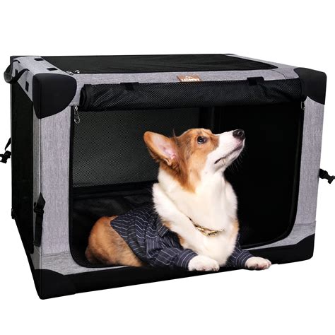 What Size Crate Does A Corgi Need