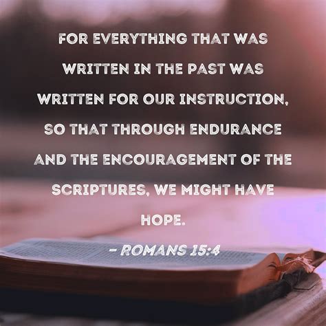 Romans 15:4 For everything that was written in the past was written for our instruction, so that ...