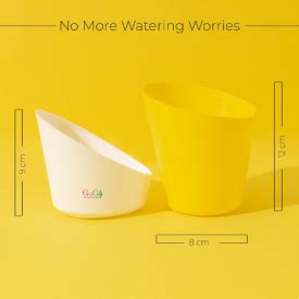 Send Plants to Mumbai, Plant Delivery in Mumbai | OD