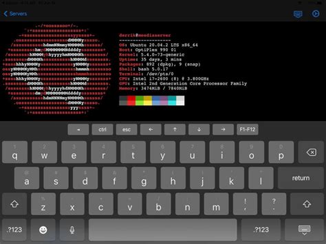 Image result for Linux On iPad OS