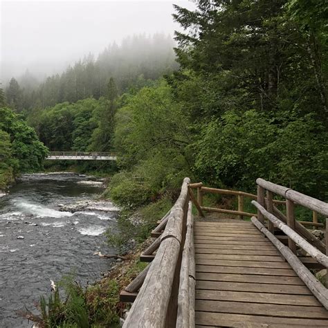 Jones Creek Camping | The Dyrt