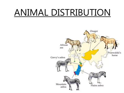 Distribution Of Animals