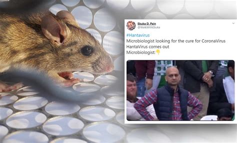 Netizens Awoke To Hysterical 'Hantavirus' Memes From Their Coronavirus ...