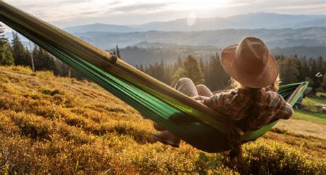 Thrasio: Data-driven CX supports revenue growth and innovation