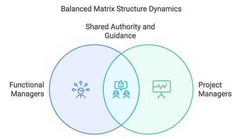 Balanced Matrix Organizational Structure 的图像结果